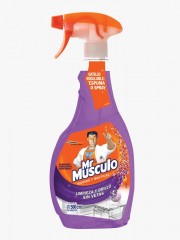 LIMPIA VIDRIOS MR MUSCULO...