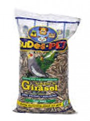 SEMILLAS GIRASOL SUDESPENSA...