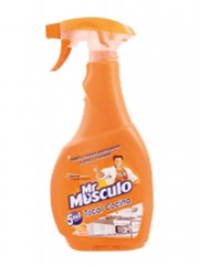 DESENGRASANTE MR MUSCULO...