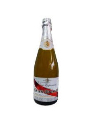 CHAMPAÑA GRAN BRINDIS *2600 ML