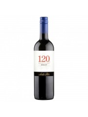 VINO ST RITA MERLOT *750 ML 