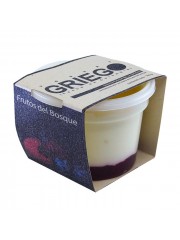 YOGURT GRIEGO DEJAMU...