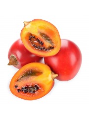 TOMATE ARBOL INGERTO