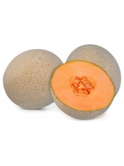 MELON