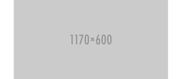Ipsum cursus vestibulum at interdum Vivamus